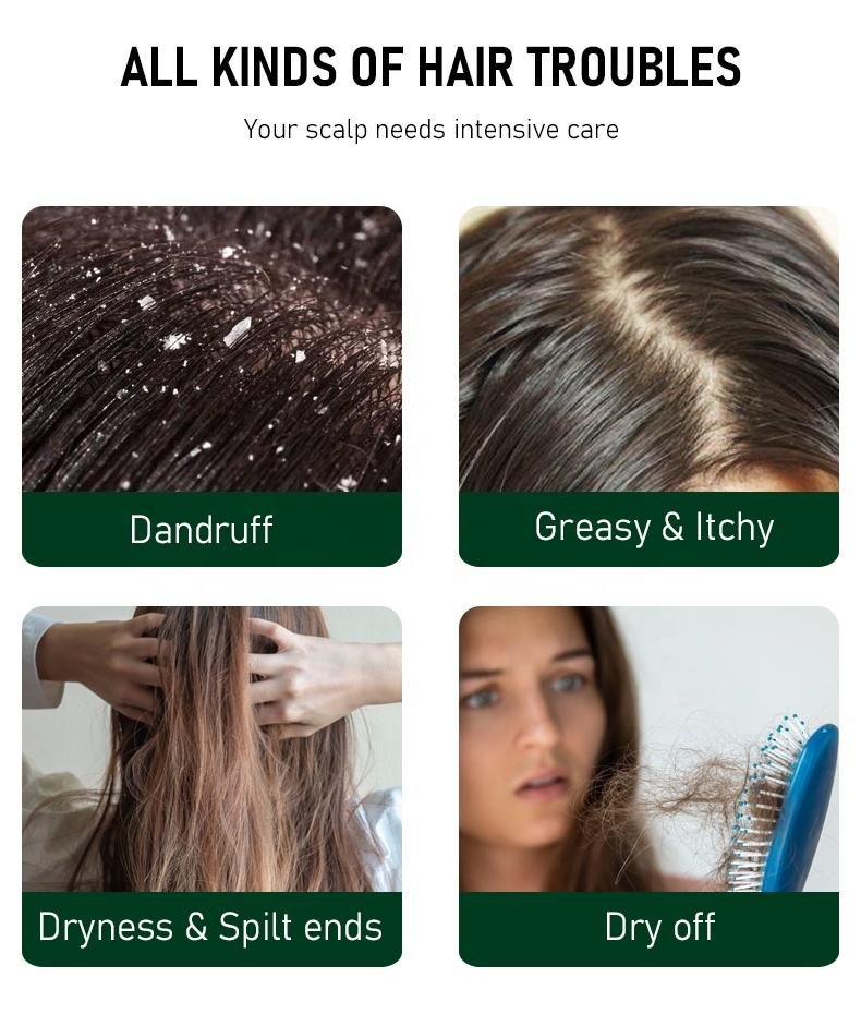 Tea Tree Oil Shampoo & Conditioner Set for Dandruff | Sulfate-Free Scalp Care | OEM Available